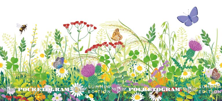 Nya designförslag inför sommarens gåvor!